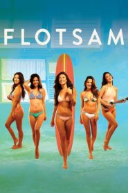 Flotsam (2015)