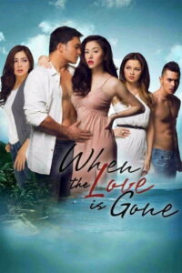 When the Love is Gone (2013)
